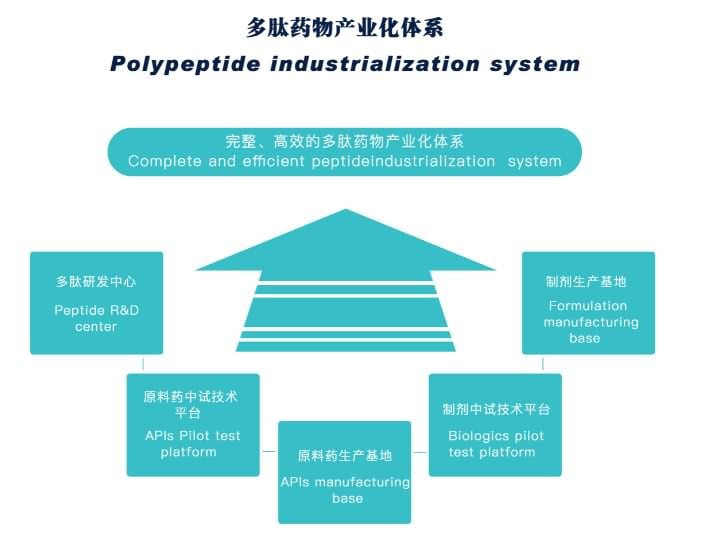 II 图片